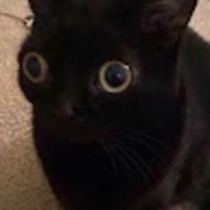 Meet your Posher, Kendra